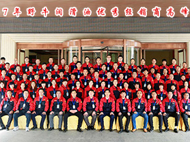 2017年野牛潤滑油優(yōu)秀經(jīng)銷商高峰會(huì)議